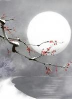 弹幕揭露伴娘真相