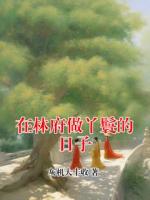 在林府做丫鬟的日子