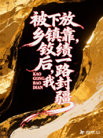 被下放乡镇后，我靠政绩一路封疆