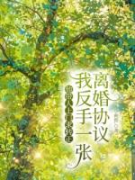 他带人上门求转正,我反手一张离婚协议