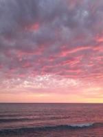 妻子给我炒菜放香菜，我立即离婚！