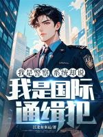 我是警察，系统却说我是国际通缉犯？