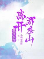 他再也没离开那座山