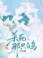杀死那只白鸟