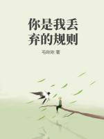 你是我丢弃的规则