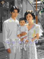 抱崽进京离婚，冰山长官跪哭求复合