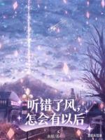 听错了风,怎会有以后