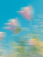 总裁情人要我分手，他慌什么