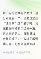 顶流男秘书，竟是我失忆的疯批前夫？