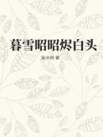 暮雪昭昭烬白头