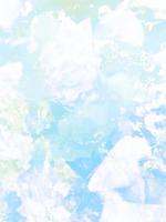 重生后，校花保管所有准考证