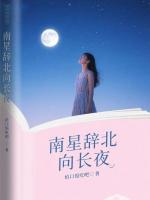南星辞北向长夜