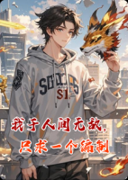 我于人间无敌，只求一个编制