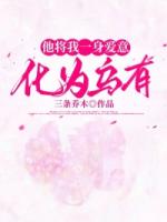 他将我一身爱意化为乌有