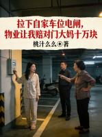 拉下自家车位电闸,物业让我赔对门大妈十万块