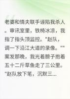 被老婆送进审讯室,我掏出了一条五十二斤的不在场证明