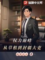 权力巅峰：从草根到封疆大吏