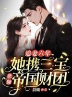 追妻六年:她携三宝掀翻帝国财团