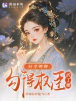 二嫁首辅:三爷你要孩子不要?