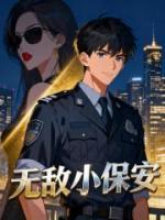 无敌小保安