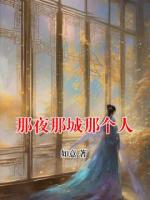 那夜那城那个人