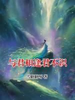 与君相逢君不识