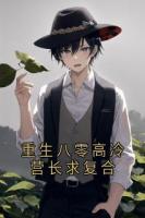 重生八零高冷营长求复合