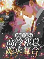 偷偷生崽后,高冷祁总跪求复合