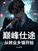 巅峰仕途：从转业乡镇开始