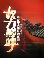 权力巅峰:从领导大秘开始狂飙