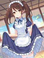 南风未语花已谢