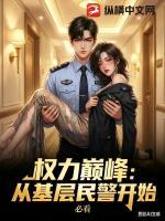 权力巅峰:从基层民警开始