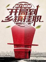 权力巅峰:开局到乡镇挂职