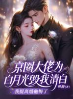 京圈大佬为白月光毁我清白，我提离婚他悔了