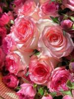 港城如故，旧爱如梦