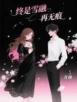 终是雪融再无痕